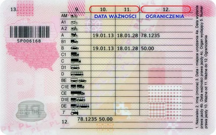 Jakie są wymagania i ile jest egzaminów na prawo jazdy?