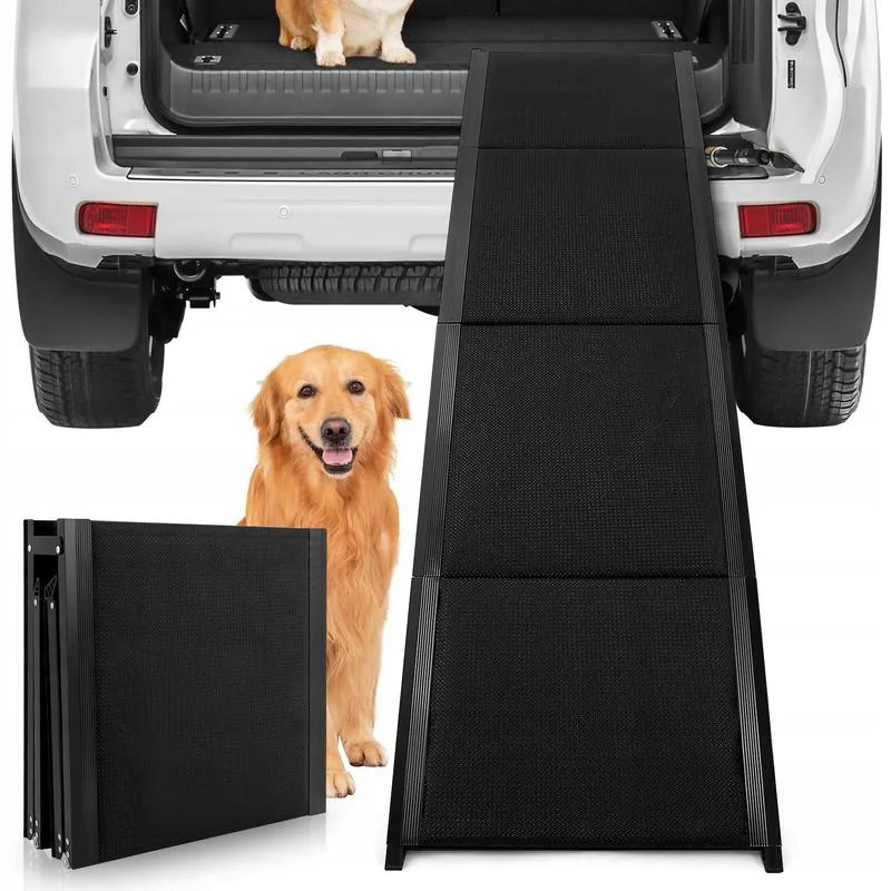 Bezpieczeństwo psa w upał